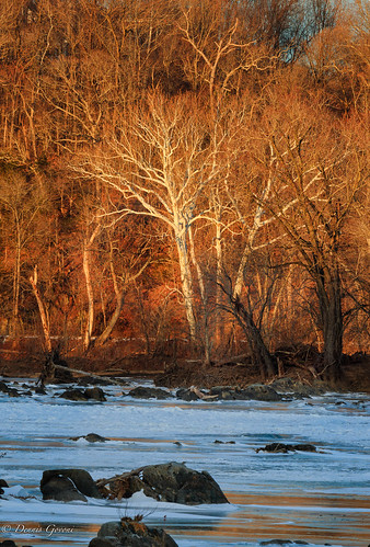 virginia background ice landscape potomacriver river snow sunset trees water winter greatfalls unitedstates us