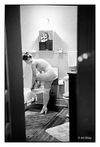 18a21 SdBeauvoir, Chicago 1959 Foto Art Shay Stephen Daiter Gallery Publicado 15 octubre 2012