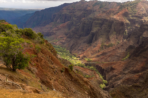 hawaii northamerica pacific usa canyon island viewpoint