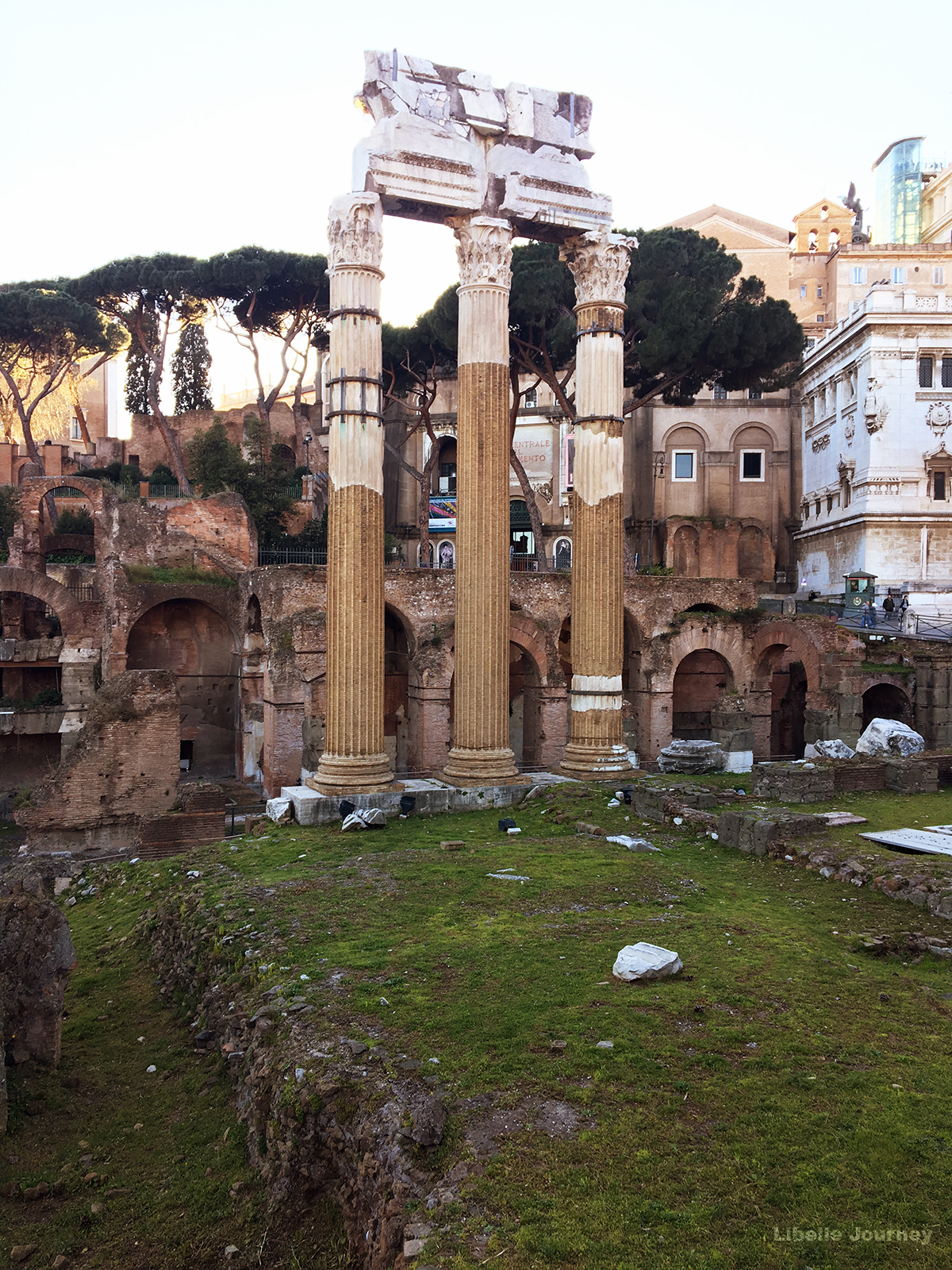 The Forum of Caesar