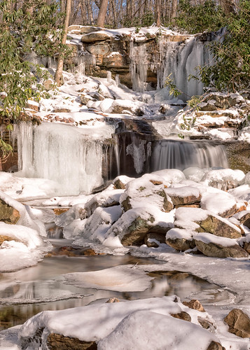 daylight natural landscape winter sigma nature water forbes canon running light canon7dmkii longexposure rhodedendron snow trigger sigma35mmart spring forest hiking pennsylvania rocks snowy laurel waterfall pluto mountain