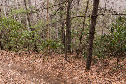 Cannon Creek Trail - 05