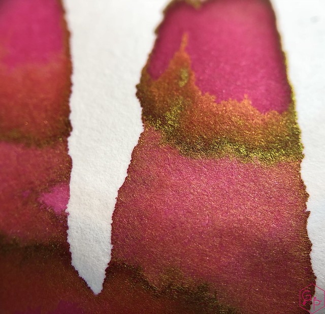 Ink Shot Review @LAMY Vibrant Pink 2018 Ink @laywines 17