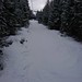 Pohled z lanovky Höfi-Express I - okolní lesy jsou zasněžené, přírodního sněhu je dost