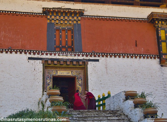 Por los monasterios y bosques de BUTAN - Blogs de Bhutan - Paro: de los tigres voladores a los perros ladradores (12)