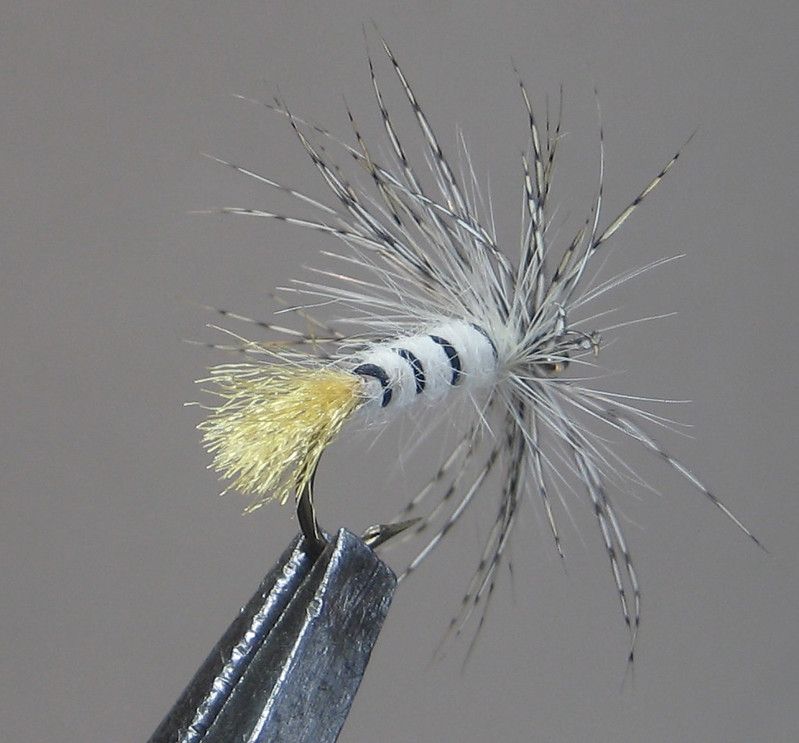 January Flies from the Vise - Page 13 - The Fly Tying Bench - Fly Tying