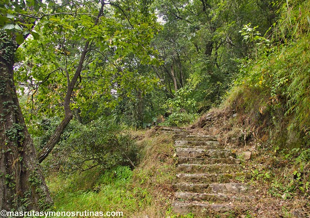 De la dulzura de Punakha a las abruptas montañas boscosas de Trongsa - Por los monasterios y bosques de BUTAN (10)