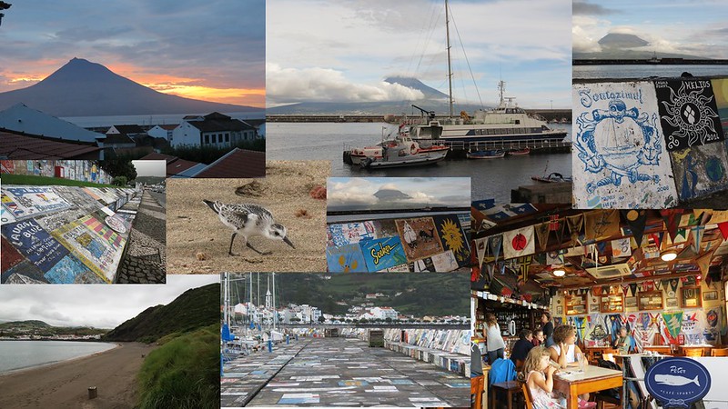 2 días - FAIAL - Puerto de parada obligatoria de veleros, avistamiento Ballenas - Por las diferentes islas de Azores: Terceira, San Jorge,Faial,Flores,San Miguel (1)