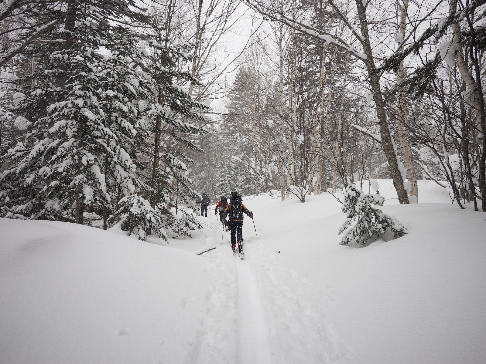 Muine Hut ski touring (Sapporo City, Hokkaido, Japan)