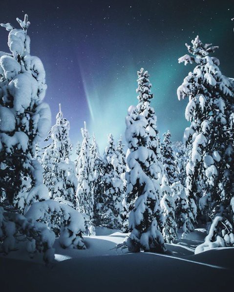 The northern lights dancing across the sky in Finland 🙌  Daniel Ernst https://t.co/QDuDAWlTLH #istanbul #food #lezzet #mutfak #nefis #kebap #Tarif #yemektarifleri #foodporn #recipe #cooking #recipes #foodie #cook #delicious #healthy #health #