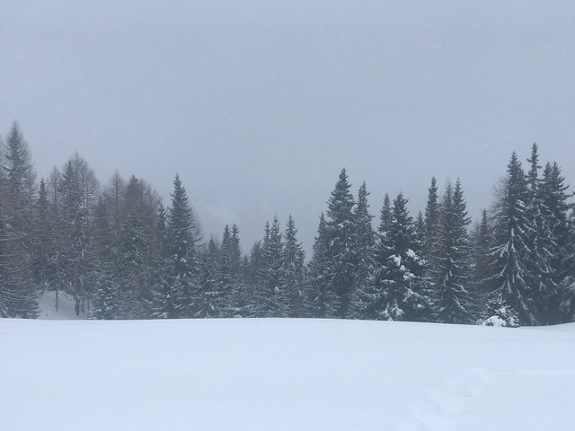 Snowstorm in Alto Adige
