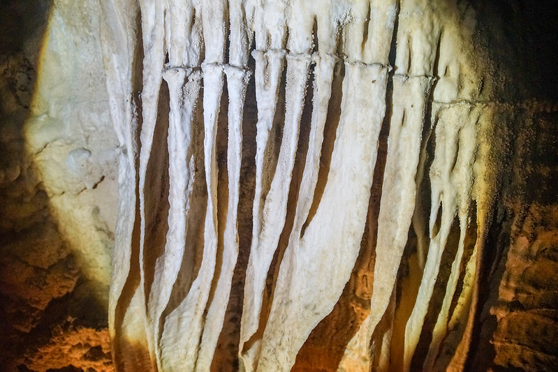 Cool 'wattles' created in limestone