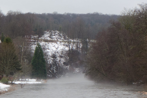 chiny lasemois hiver belgium belgique ardennes river riverside hills fog mist snow neige leicadlux6 leica dlux6 water tree forest