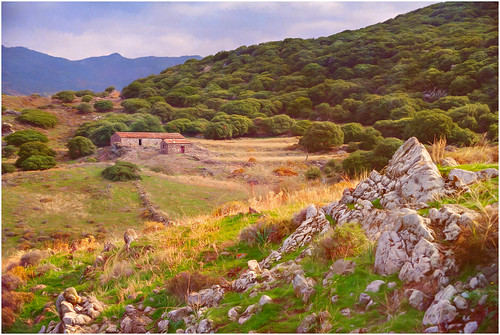painterly textures lesvos greece hills mountains green rocks grass trees