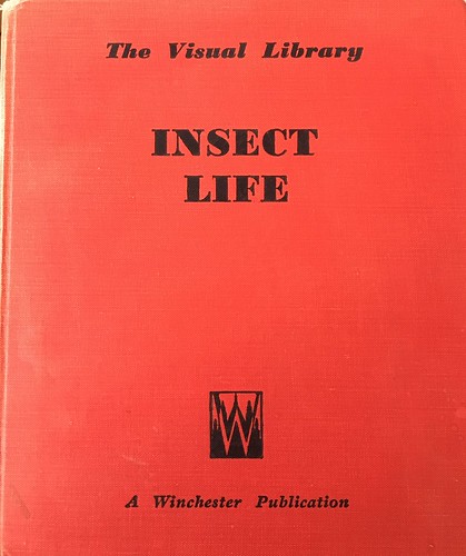 Insect life