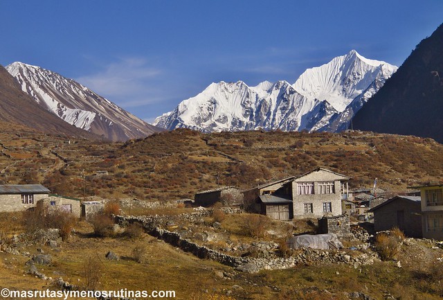 Por el cielo y el infierno de NEPAL. Trek Langtang - Blogs de Nepal - Trekking Langtang. Etapa 2: De Rimche a Langtang (6)