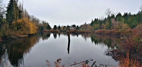 nikond7000 nikkor18200mmvrlens canada britishcolumbia bc abbotsford fishtrapcreekpark wetlands reflection