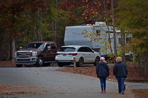 autumn nature camping rv carrollton outdoors walk trees vehicles
