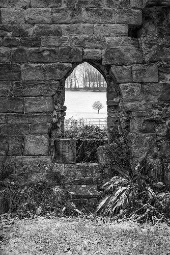 bw jervaulxabbey nikkor2470f28 nikond810 northyorkshire blackandwhite arch stone window architecture calm landscape monochrome outdoor peaceful ruins snow tranquil tree winter silverefexpro