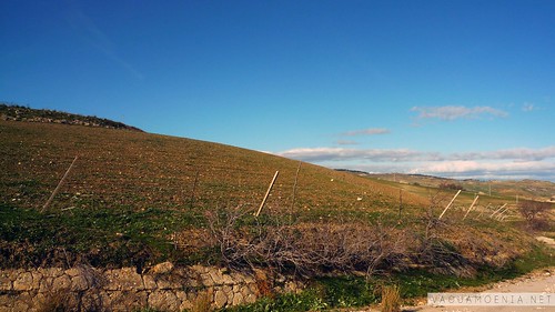 sicily flickrsicilia sicilia landscape rural rurale soundscape paesaggio etna
