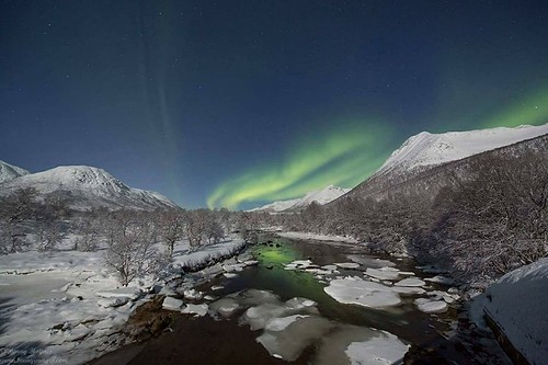 Hunting Northern Lights Above the Arctic Circle: Local Experts Guide You There