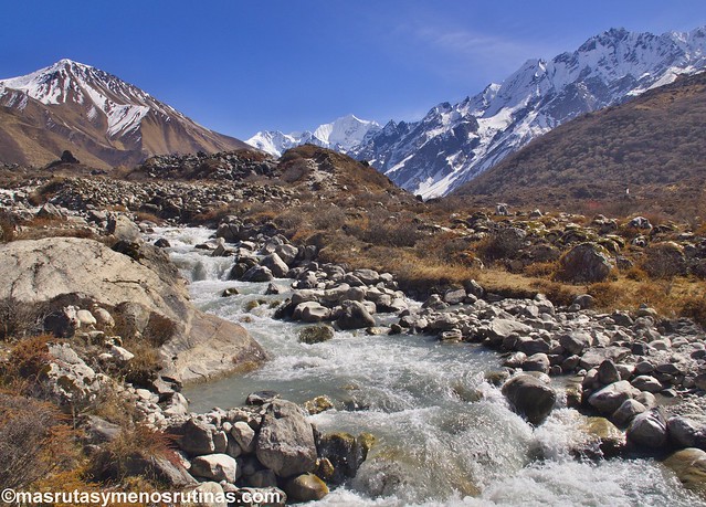 Por el cielo y el infierno de NEPAL. Trek Langtang - Blogs de Nepal - Trekking Langtang. Etapa 3: De Langtang a Kianjing Gompa (2)