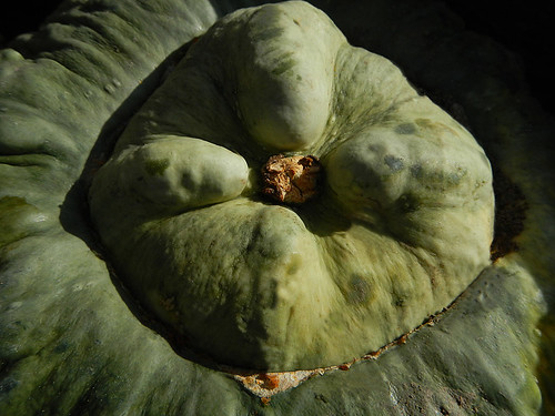 Squash at a vegetable stand in the Okanogan, Canada