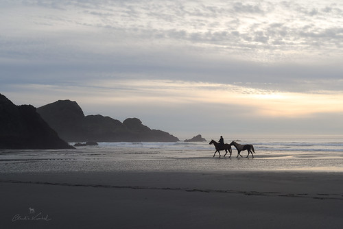 oregon beach sunset meyersbeach horse rider lowtide