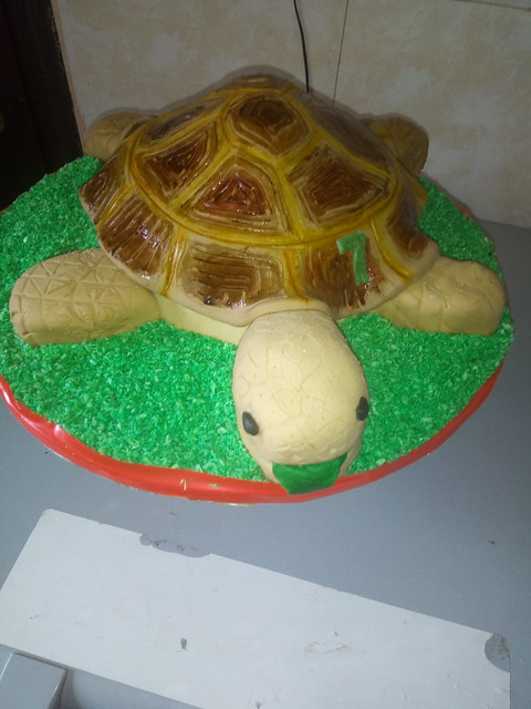 Tortoise Cake by Onyi Cakes