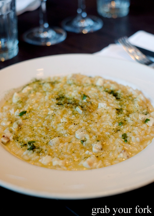 Risotto with blue eye at Fratelli Paradiso in Potts Point