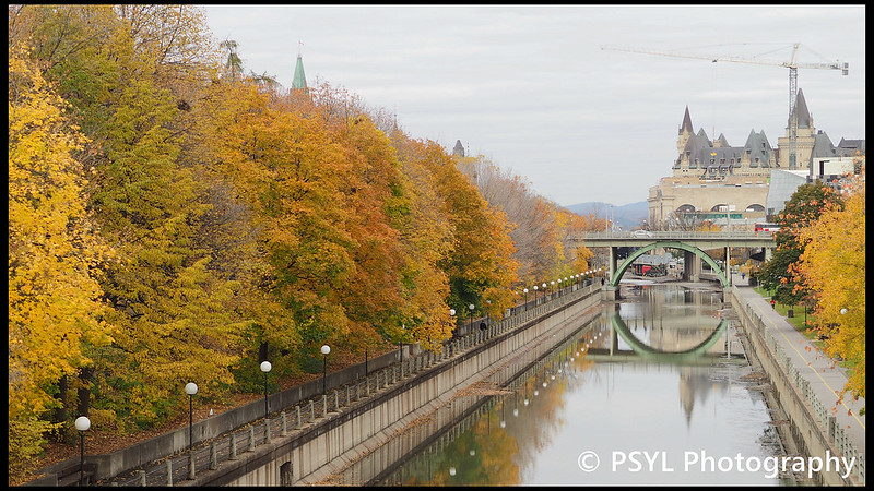 Autumn colours along canal