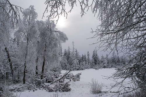 schwarzwald winter schnee snow eis ice frozen