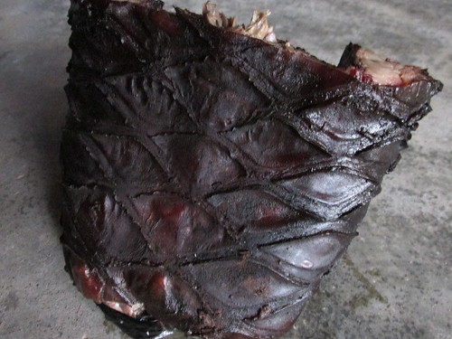 2015 smoked pangolin meat