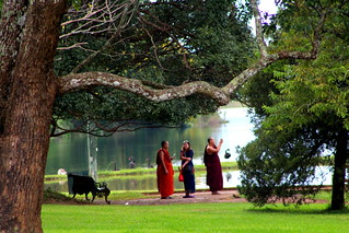 botanical garden monks