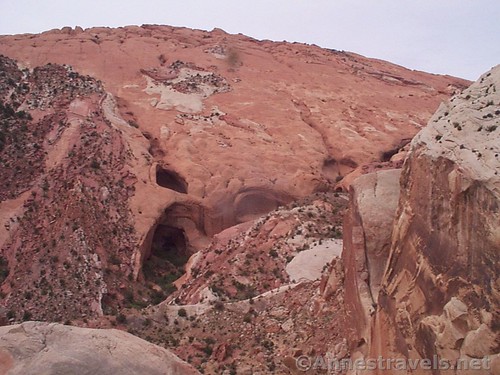 Brimhall Arch from the slickrock across the canyon, Capitol Reef National Park, Utah
