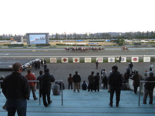 金沢競馬場のレース風景