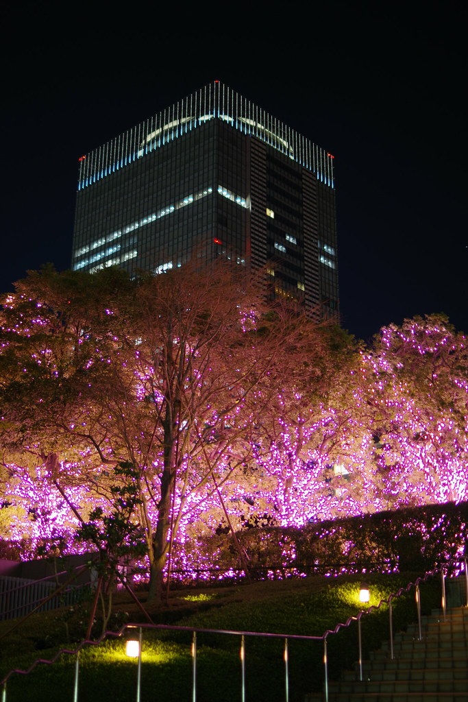 新宿サザンテラスのイルミネーション  Illumination in Shinjuku
