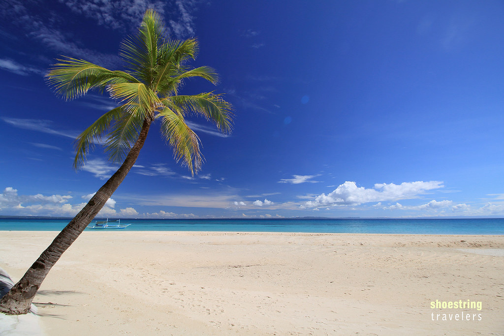 lone palm and blue skies at Kota Beach