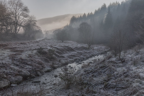 winter frost mist morning wales brecon beacons national park stream forest cold