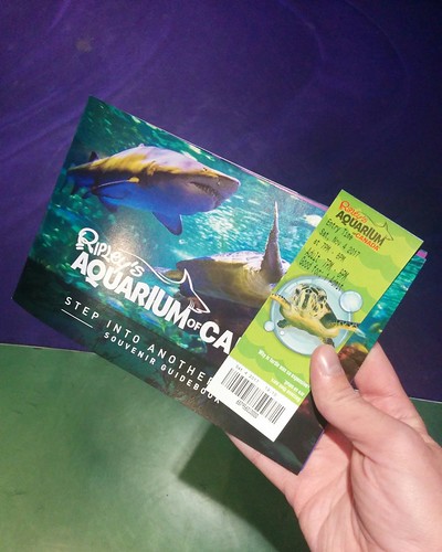 Ticket #toronto #ripleysaquarium #aquarium #ticket #latergram