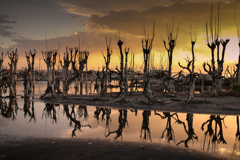 epecuen-800px-6430