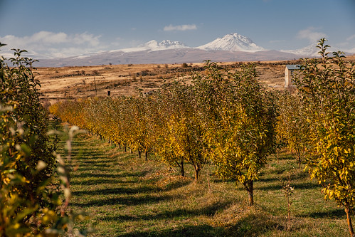 armenia autumn