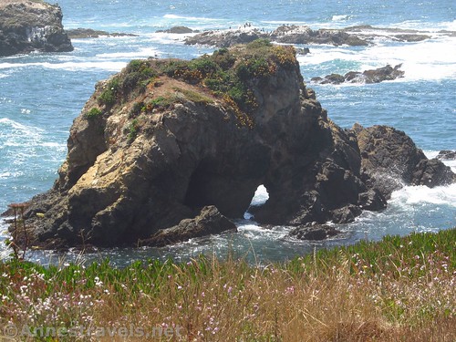 Sea arch covered in greenery and flowers along the Coastal Trail south of Glass Beach, California