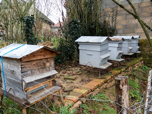 Beehives in a village in the Creuse