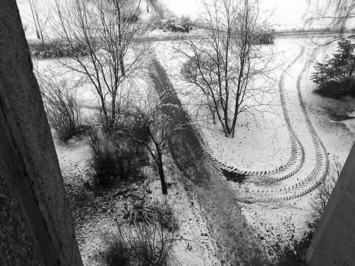 snow winter vilnius lietuva lithuania
