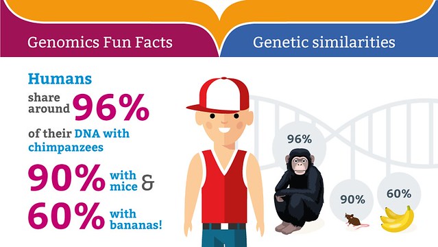 Genomics fun facts: genetic similarities