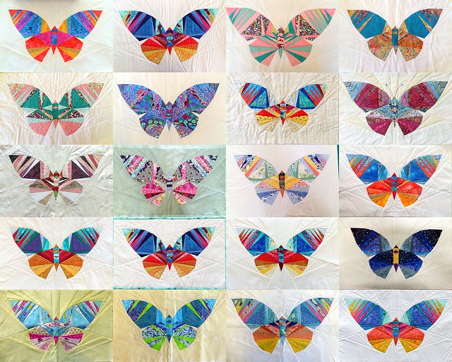 Take Wing Butterfly Class Feb18