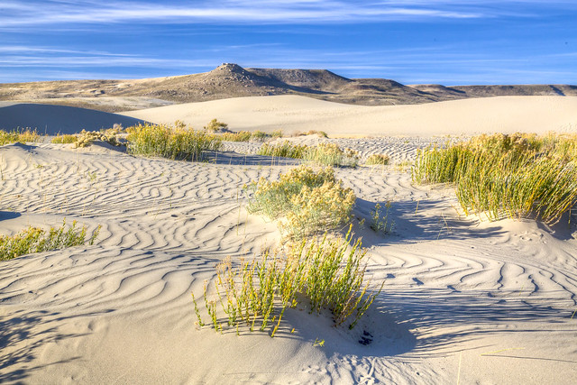 Sand Dunes WSA