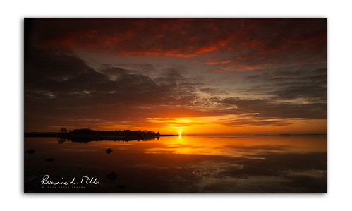 sunrise dawn early morning strangford lough rough island islandhill reflections