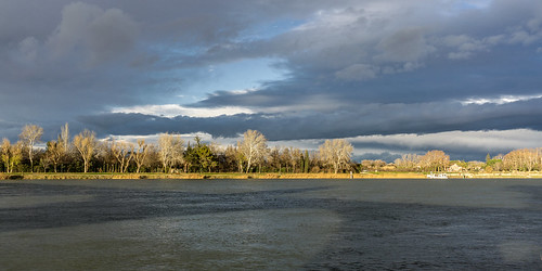 2017 rhône avignon eu provence river shore rive shadow pontd’avignon tree cloud water fluss france europa daylight day naturallight landscape